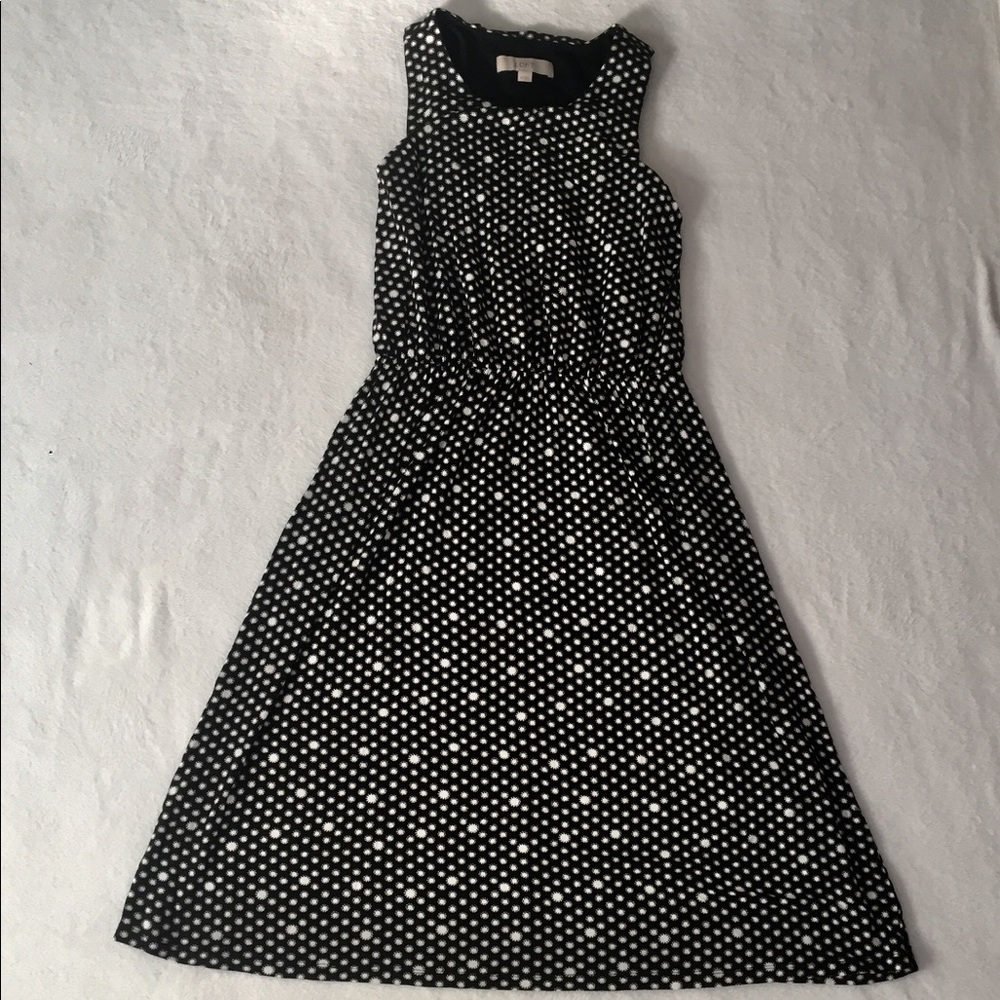 Loft black and white chic dress